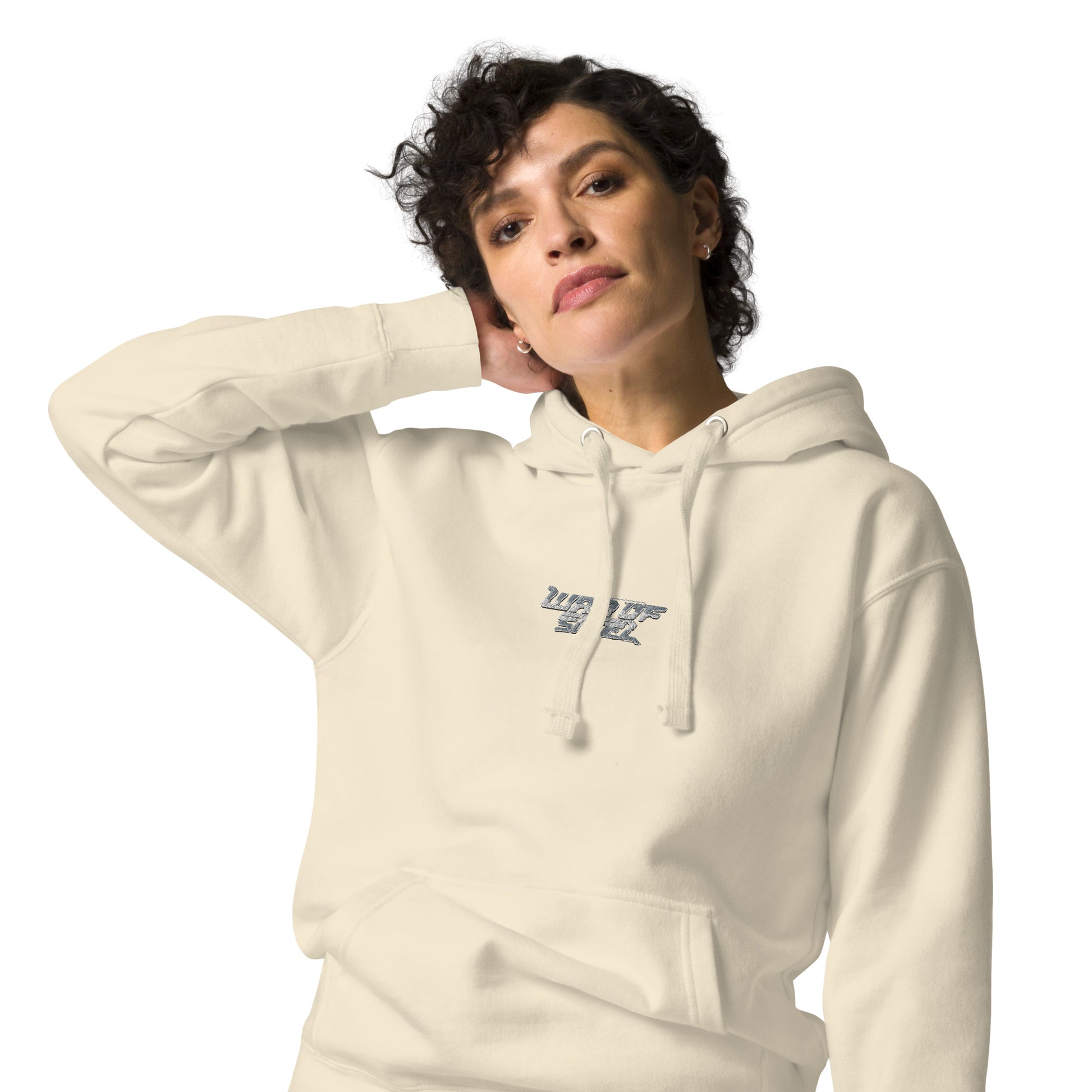 WAR OF STEEL Embroidered Hoodie